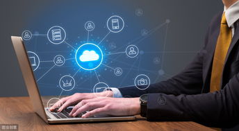 農(nóng)產(chǎn)品電子商務(wù)發(fā)展 機(jī)遇、挑戰(zhàn)與經(jīng)營(yíng)策略探討