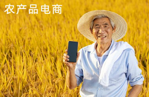 推動(dòng)農(nóng)產(chǎn)品電商數(shù)字化改造 物流與經(jīng)營(yíng)雙輪驅(qū)動(dòng)的農(nóng)業(yè)新篇章